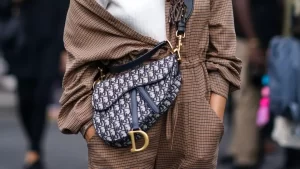 Dior Saddle bag