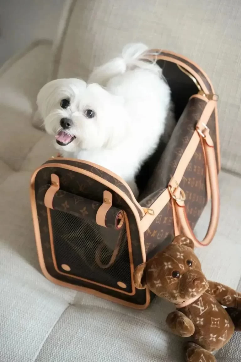 pet bag